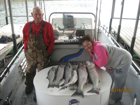 Nice Striped Bass